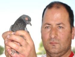 Tarım çalışanından merhamet örneği
